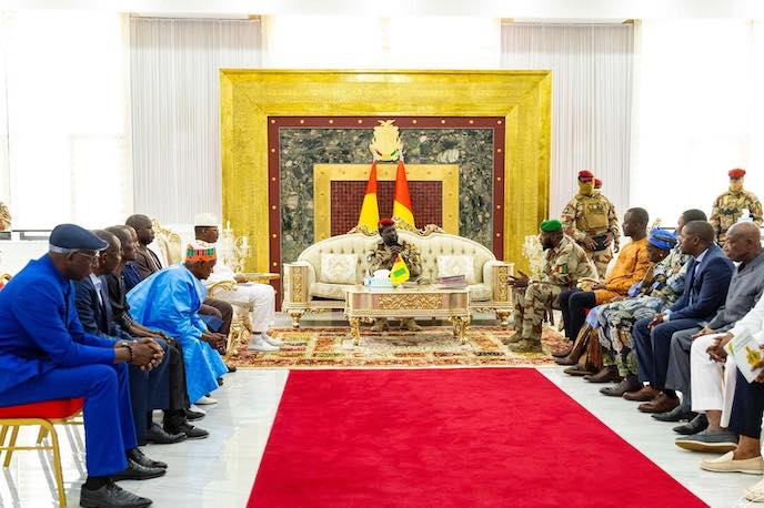 panel-experts-constitution