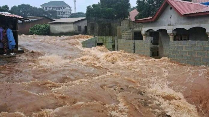 FB_IMG_1754008613019