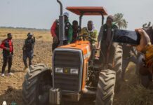 Koba, symbole d’un sursaut agricole : la Guinée en marche vers sa souveraineté alimentaire