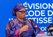 Investir autrement ou ne plus investir : la Guinée impose ses règles pour transformer son destin économique