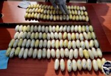 Cocaïne à Conakry : deux suspects arrêtés à l’aéroport avec 2,8 kg de drogue avant un vol pour la Tunisie