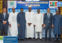 La Guinée réitère son engagement pour la sécurité énergétique et l’intégration sous-régionale au sein de l’OMVS