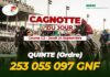 Cagnotte record du mois : plus de 253 millions de GNF ce jeudi