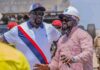 Nimba Mining Company : Patrice L’Huillier nommé DG, Djiba Diakité devient PCA
