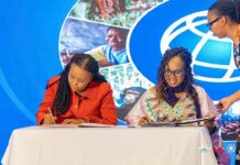 Cérémonie de lancement du Cadre de partenariat pays 2027-2033: Guinée- Banque mondiale