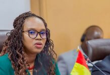 Guinée Banque Africaine de Développement : Un partenariat renforcé pour accélérer la mise en œuvre de Simandou 2040