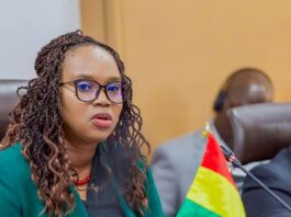 Guinée Banque Africaine de Développement : Un partenariat renforcé pour accélérer la mise en œuvre de Simandou 2040