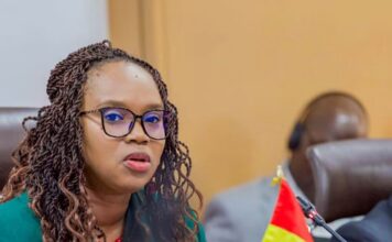 Guinée Banque Africaine de Développement : Un partenariat renforcé pour accélérer la mise en œuvre de Simandou 2040