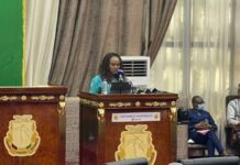 Guinée : budget rectificatif 2026, des recettes en hausse, mais une croissance revue à la baisse